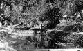 At the trout hatchery, Oakridge, Oregon