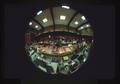 Fisheye view of North Bend Coin Show from front entrance, North Bend, Oregon, 1981