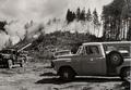 Slash burn, trucks, and staff post-logging burn