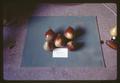 Fruit of pear hybrid Sel No. 5-235, Lots 1 and 2, Oregon, circa 1965