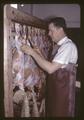 Jim Oldfield examining lamb carcasses for white muscle studies, 1967