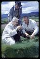 David Chilcote, Henry Rampton, and William Lee examining grass at Hyslop Farm, Corvallis, Oregon, circa 1965