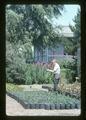 Bob Ticknor taking notes at North Willamette Experiment Station, Aurora, Oregon, 1974