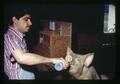 Technician feeding L. acidophilus to pig by bottle, Oregon State University, Corvallis, Oregon, June 1971
