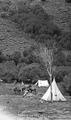 Camp on McCoy Creek, near Steens Mountain, Oregon