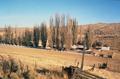 Imperial Stock Ranch Headquarters. House (Shaniko, Oregon)