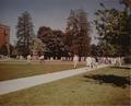 Campus Scenes; Memorial Quad: Daytime [23] (recto)