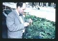 Harold Evans examining nodule, Oregon State University, Corvallis, Oregon, February 1967