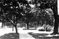 Sidewalk near 13th Ave. in 1930