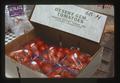 Desert Gem tomatoes in baskets, Lakeview, Oregon, 1975