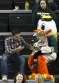 Duck mascot, 2013