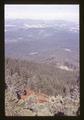 Forest view from Marys Peak, circa 1965