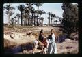 Fellaheen on donkey, Egypt, circa 1973