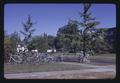 Bicycles and ginkgo trees near Food Science building, Oregon State University, Corvallis, Oregon, 1974