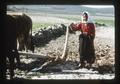 Female farmer with plow, 1976