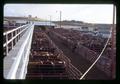 Cattle in pens at Madras Livestock Auction, Madras, Oregon, February 1972