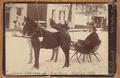 John Larkens and Bob Hood - Winter 1886