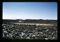 Flock of sheep, Oregon, circa 1971