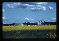 Mustard field in bloom northeast of Rickreall, Oregon, 1983