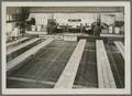 Oregon State Corn Show, circa 1930