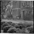 Bicycles on campus, Fall 1963