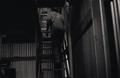 Worker Climbing Ladder in Barn
