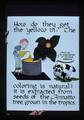 Tillamook Creamery cheese coloring poster, 1979
