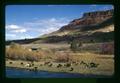 Grindstaff ranch, Wheeler County, Oregon, circa 1973