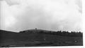 Hillside with Marys Peak lookout in the distance