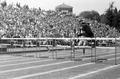 Bell Field crowd watching the hurdles