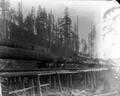 Railroad cars loaded with timber.