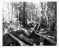 Two men taking break while logging