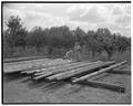 Wood preserve program, July 1952