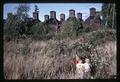 Kids in blackberry patch near hop dryer at Kendall farm, Corvallis, Oregon, 1967