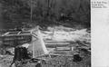 Fish trap on Trask River, Tillamook, Oregon