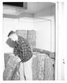 Boys State attendee in an OSC forestry laboratory, Summer 1958