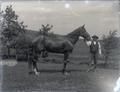 Man in a suit (same as above) holding horse's bridle