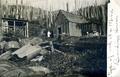 Type of cook at a mine boarding house