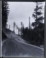 Dirt road near Wauna, OR., flanked by trees.