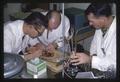 Dr. Donald H. Helfer and colleague examining mouse organs in dish, 1966
