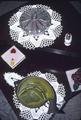 Two doilies on table
