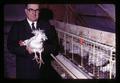 Paul Bernier with dwarf chicken, Oregon State University, Corvallis, Oregon, November 1968