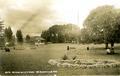 A view in city park, McMinnville, Oregon