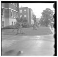 Tree damage in front of Commerce Building, October 20, 1961