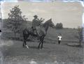 Man in a suit on a horse