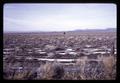 Sagebrush in Central Oregon, circa 1970