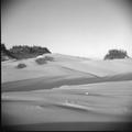 Dunes landscape(6)