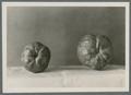 Pears, 1931