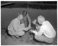 Examining a salamander at Camp Tamarack, May 1958