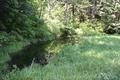 Glacier Irrigation Ditch, Middle Fork Irrigation District (Parkdale, Oregon)